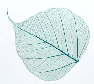 Sostenibilidad y negocios