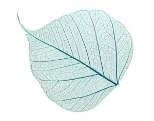 Sostenibilidad y negocios: cómo las empresas jóvenes están redefiniendo el éxito