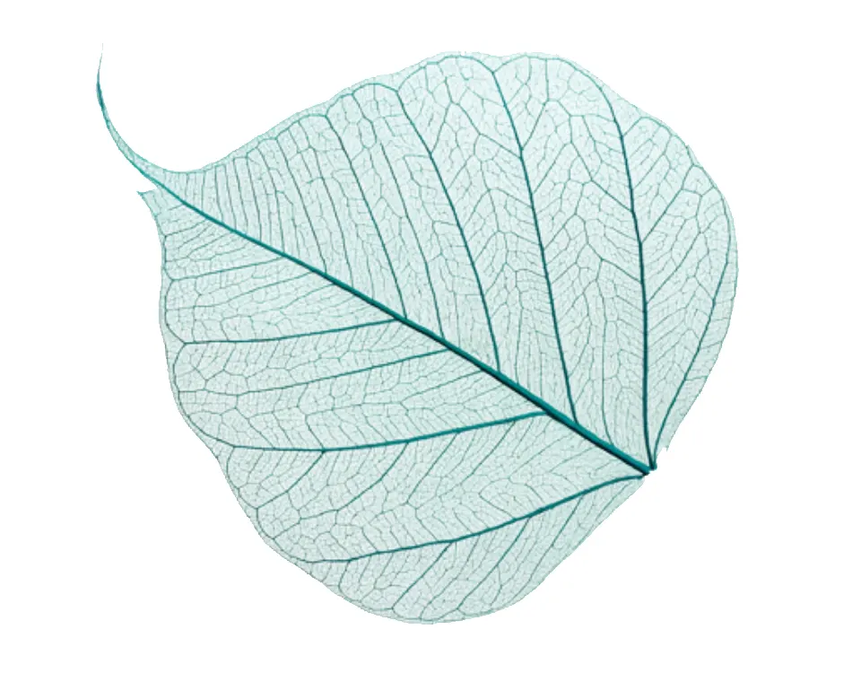 Sostenibilidad y negocios: cómo las empresas jóvenes están redefiniendo el éxito