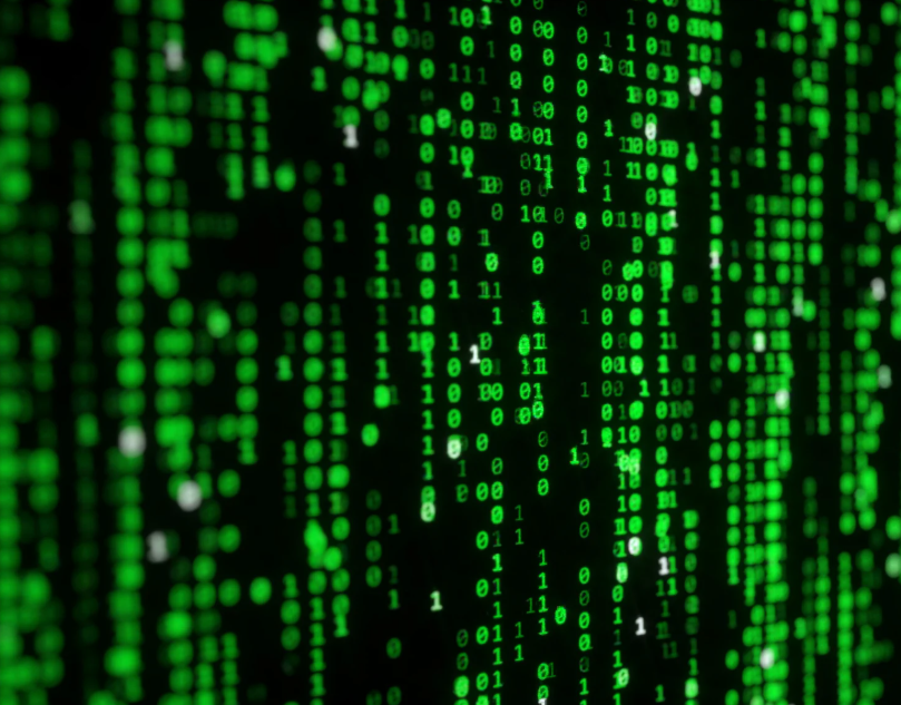 Formar criterio directivo